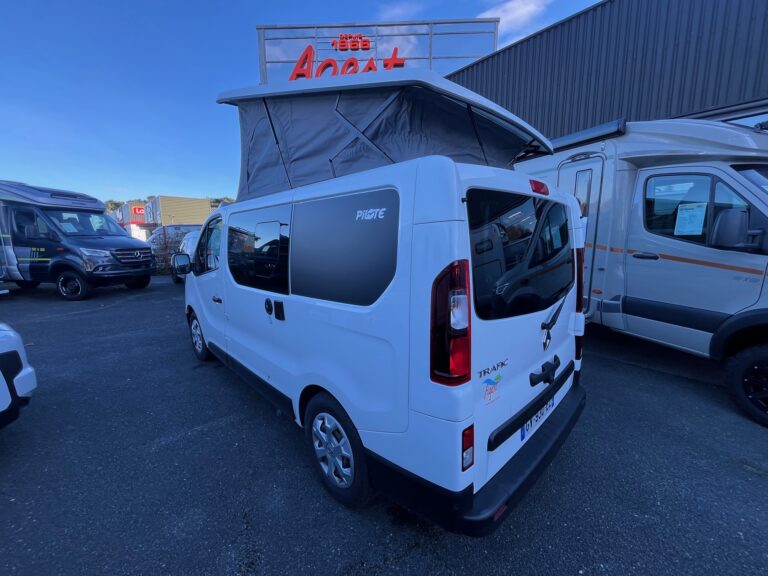 0000010187_van_pilote_cv_500_bc_renault2_0l150cv_dci_bva_20233